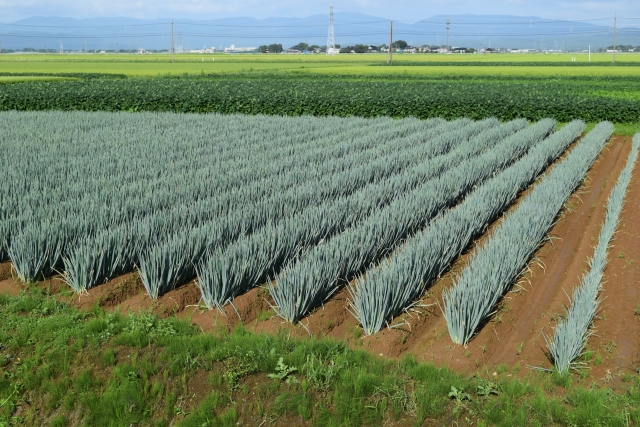 農林・水産・鉱業特集